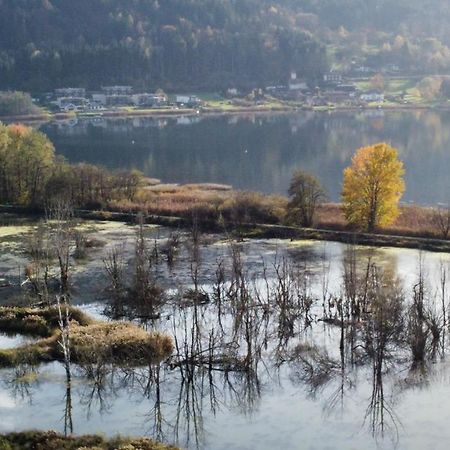 Ferienhaus Natura 2000 奥西阿赫湖畔施泰因多夫 外观 照片